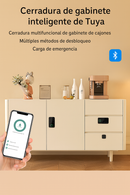 CERRADURA ELECTRONICA, CON HUELLA, PIN TAG O APLICACION ANDROID O IOS