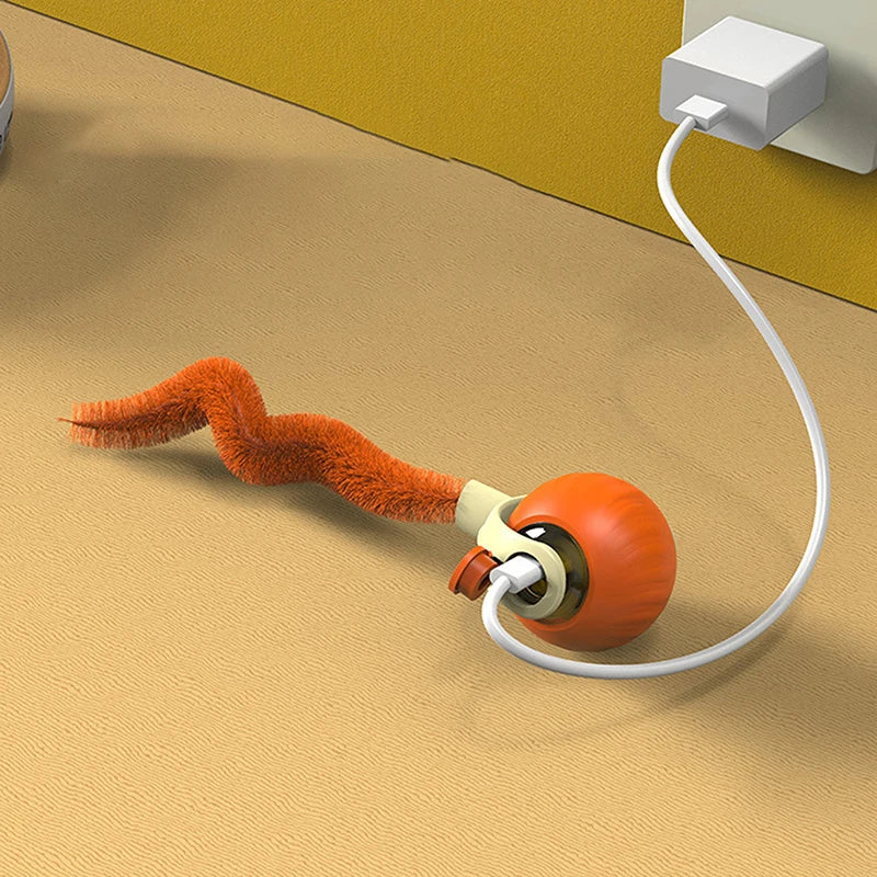 JUEGO DE MOVILIDAD PARA PERROS Y GATOS, SPEEDY TAIL 2.0