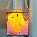 Luz nocturna de capibara