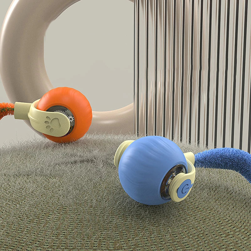 JUEGO DE MOVILIDAD PARA PERROS Y GATOS, SPEEDY TAIL 2.0