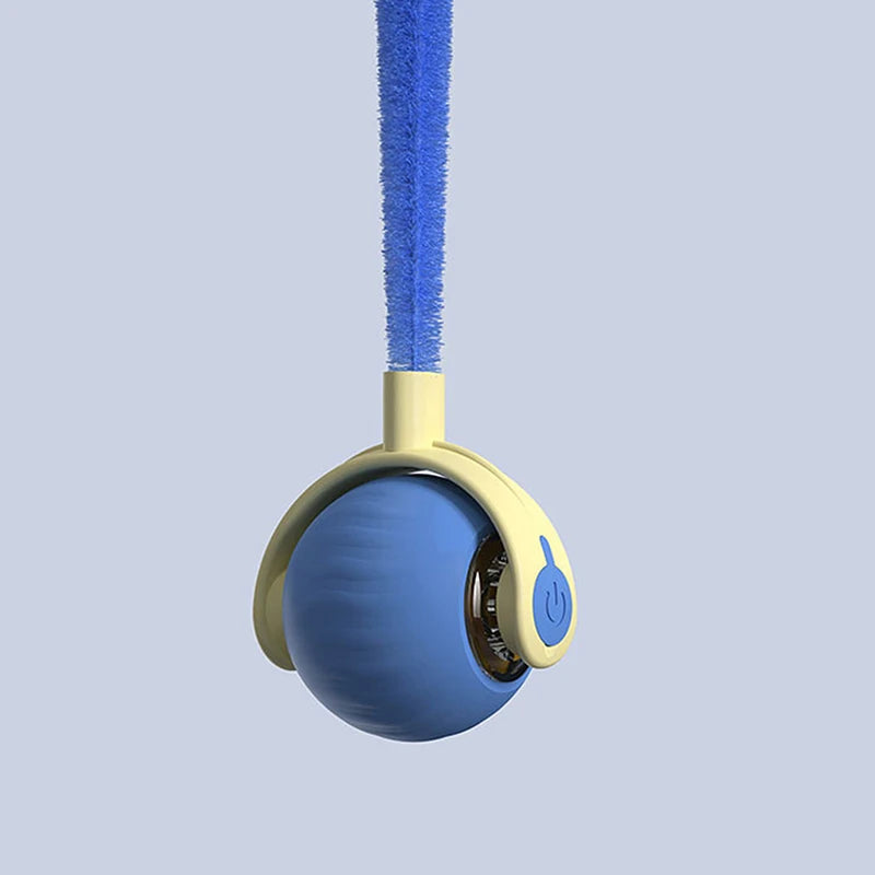 JUEGO DE MOVILIDAD PARA PERROS Y GATOS, SPEEDY TAIL 2.0