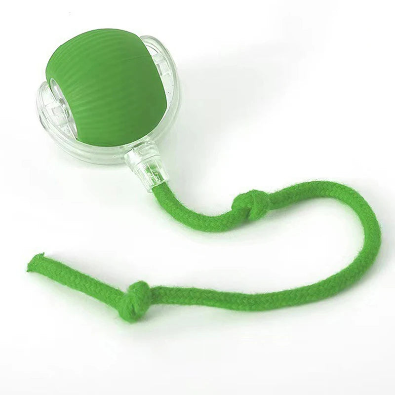 JUEGO DE MOVILIDAD PARA PERROS Y GATOS, SPEEDY TAIL 2.0