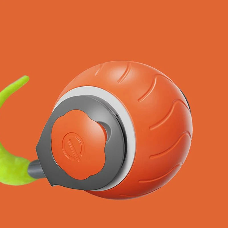 JUEGO DE MOVILIDAD PARA PERROS Y GATOS, SPEEDY TAIL 2.0