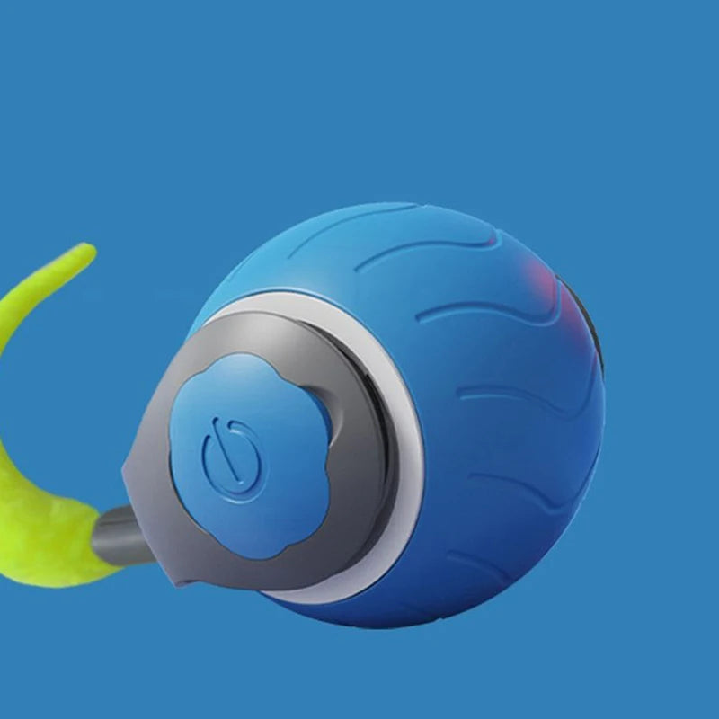 JUEGO DE MOVILIDAD PARA PERROS Y GATOS, SPEEDY TAIL 2.0